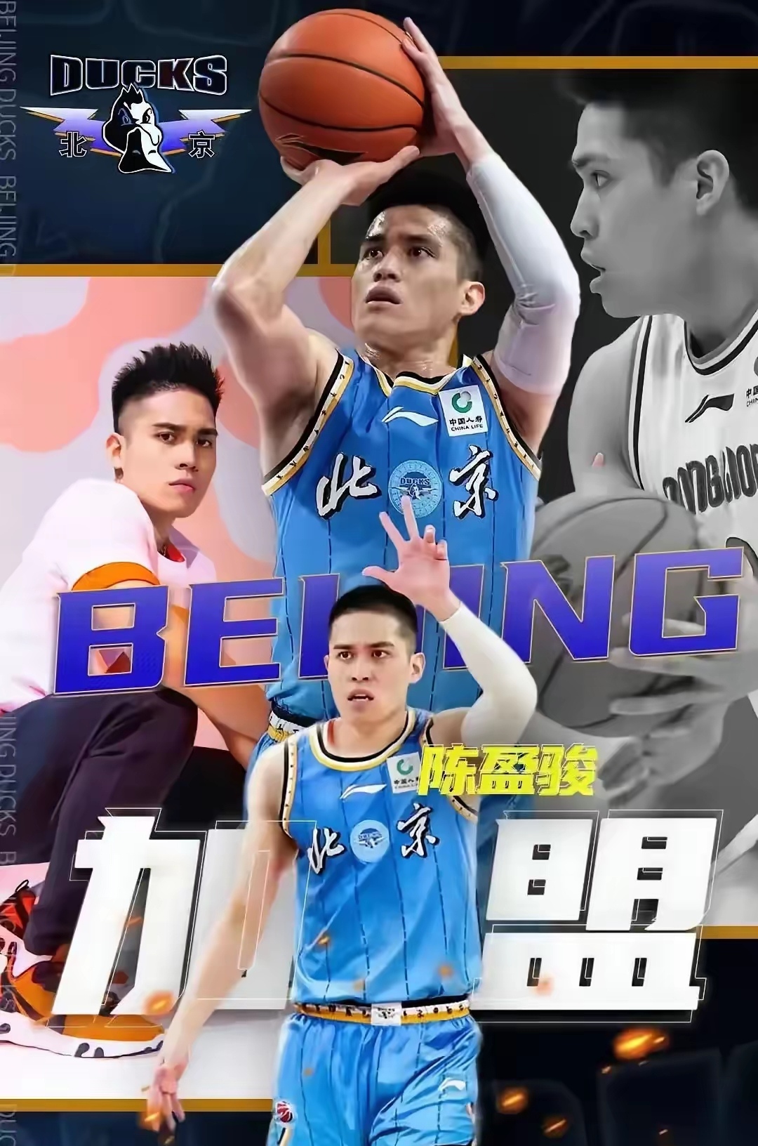 关于北京队主帅因伤退赛，球队面临领军危机的信息