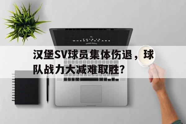 汉堡SV球员集体伤退，球队战力大减难取胜？的简单介绍